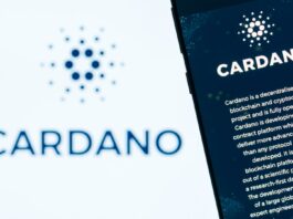 Cardano Ada marketcap