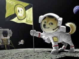 Cardano Doge