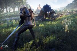 Witcher 3 PC Optimization