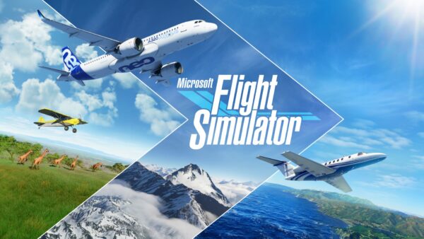 Microsoft Flight Simulator Crash Fix