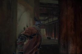 Sekiro: Shadows Die Twice Hidden Walls Guide