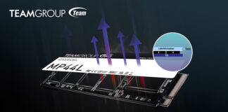 TEAMGROUP MP44L SSD