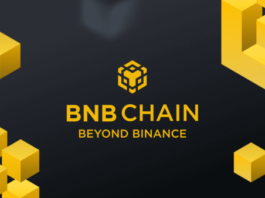 How to Does Binance BNB Auto Burn Work