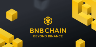 How to Does Binance BNB Auto Burn Work